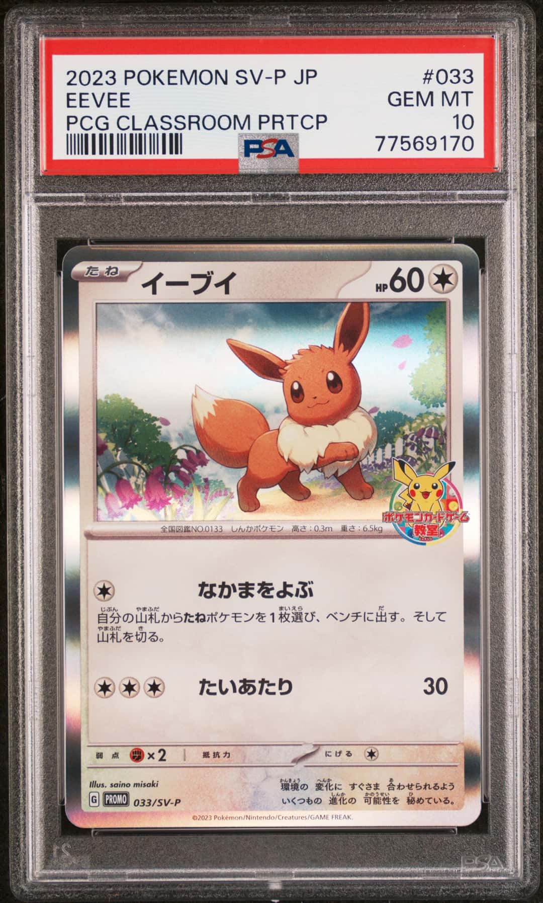 2023 POKEMON JAPANESE SV-P PROMO EEVEE PCG CLASSROOM PRTCP