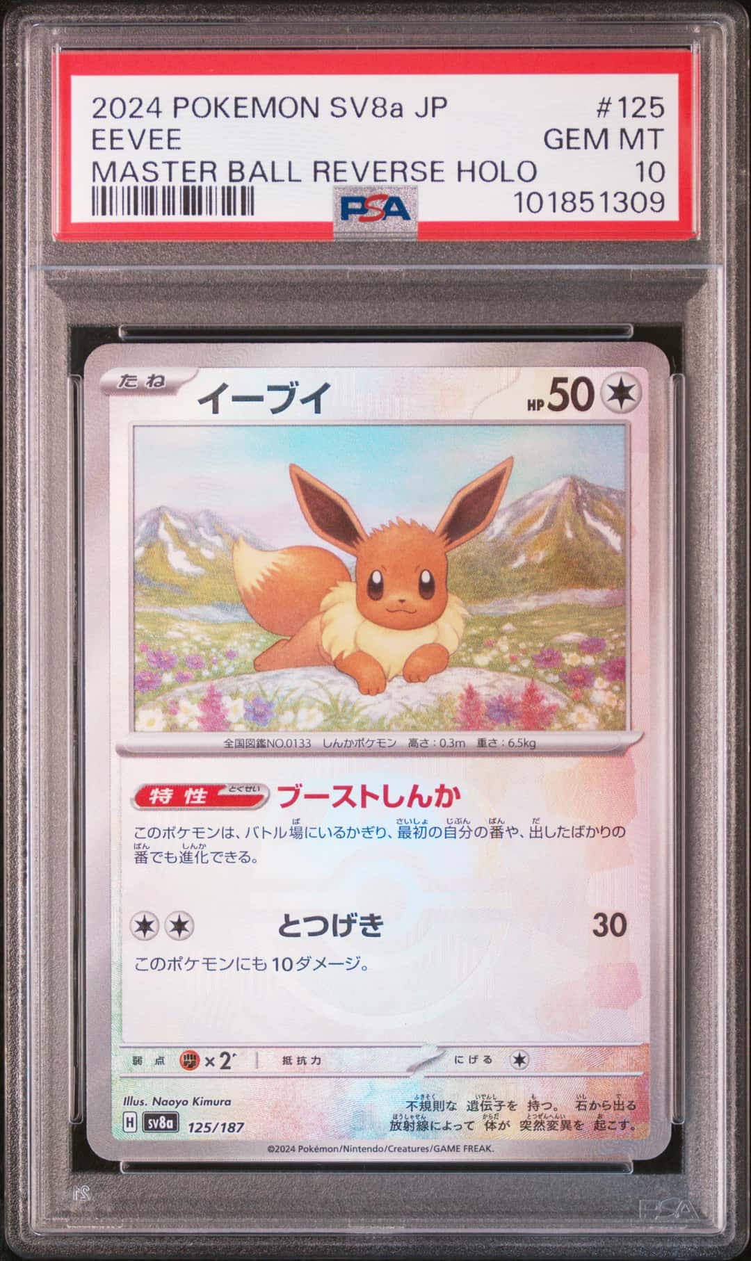 EEVEE
